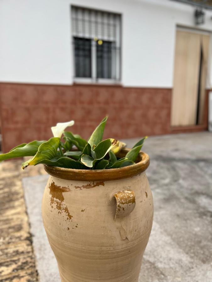 Agua De Verano San Bartolome de la Torre Bagian luar foto